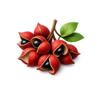 Sichuan Pepper 3D icon