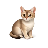 Singapura Cat 3D icon