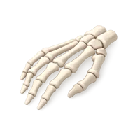 Skeleton Hand 3D icon