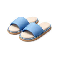 Slippers 3D icon