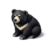 Sloth Bear 3D icon