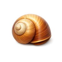 Snail Shell 3D icon