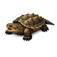 Snapping Turtle 3D icon