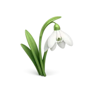 Snowdrop 3D icon