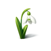 Snowdrop Flower 3D icon