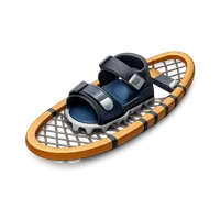 Snowshoe 3D icon