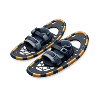 Snowshoes 3D icon