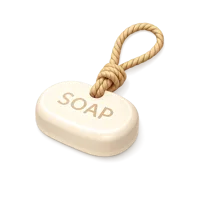 Soap on Rope 3D icon