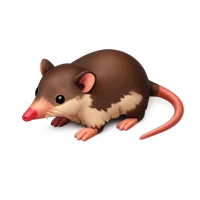 Brown Solenodon 3D icon