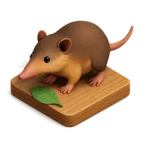 Solenodon 3D icon
