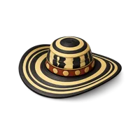 Sombrero Vueltiao 3D icon