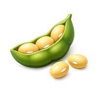 Soybean 3D icon