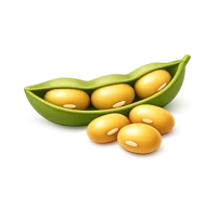 Soybeans 3D icon