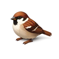 Sparrow 3D icon