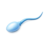 Sperm Cell 3D icon