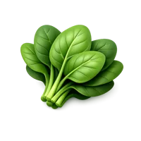 Spinach 3D icon