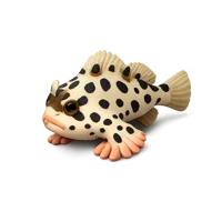 Spotted Handfish 3D icon