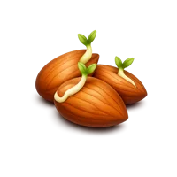 Sprouted Almonds 3D icon