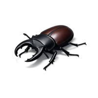 Stag Beetle 3D icon