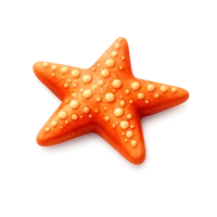 Orange Starfish 3D icon