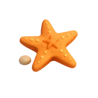 Starfish 3D icon