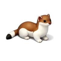 Orange Stoat 3D icon