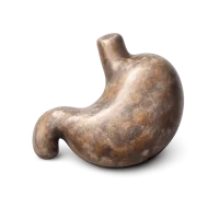 Stomach Stone 3D icon
