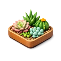 Succulent Planter 3D icon