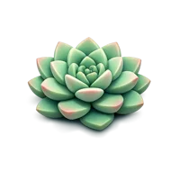 Succulent 3D icon