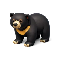 Amber Sun Bear 3D icon