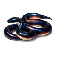 Sunbeam Snake 3D icon