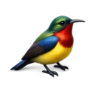 Sunbird 3D icon
