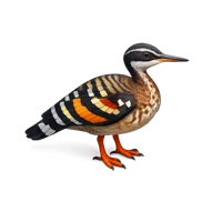 Sunbittern 3D icon