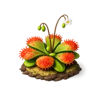 Sundew Plant 3D icon