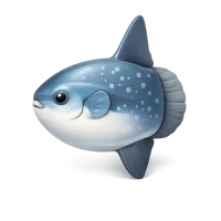 Sunfish 3D icon