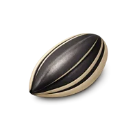Amber Sunflower Seed 3D icon