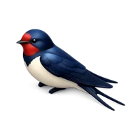 Swallow 3D icon