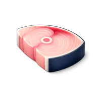 Swordfish Steak 3D icon