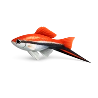 Swordtail Fish 3D icon