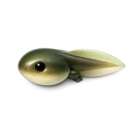 Yellow Tadpole 3D icon