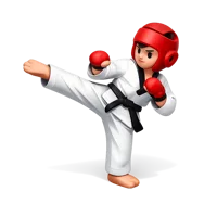 Taekwondo 3D icon