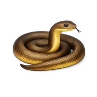 Taipan Snake 3D icon