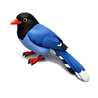 Taiwan Blue Magpie 3D icon