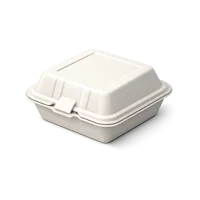 Takeout Container 3D icon
