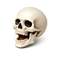 Talking Skull 3D icon