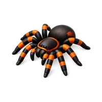 Orange Tarantula 3D icon