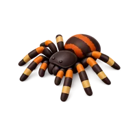 Tarantula 3D icon