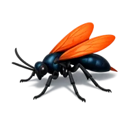 Tarantula Hawk 3D icon