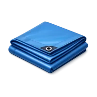 Tarp 3D icon