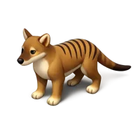 Tasmanian Tiger 3D icon